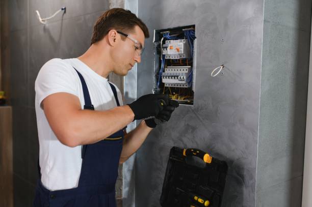 Best Ceiling Fan Installation Electrician  in Holland, OH